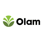 olam
